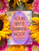 You Wise Animal Body ~ Nervous System Health Oracle Oracle Deck