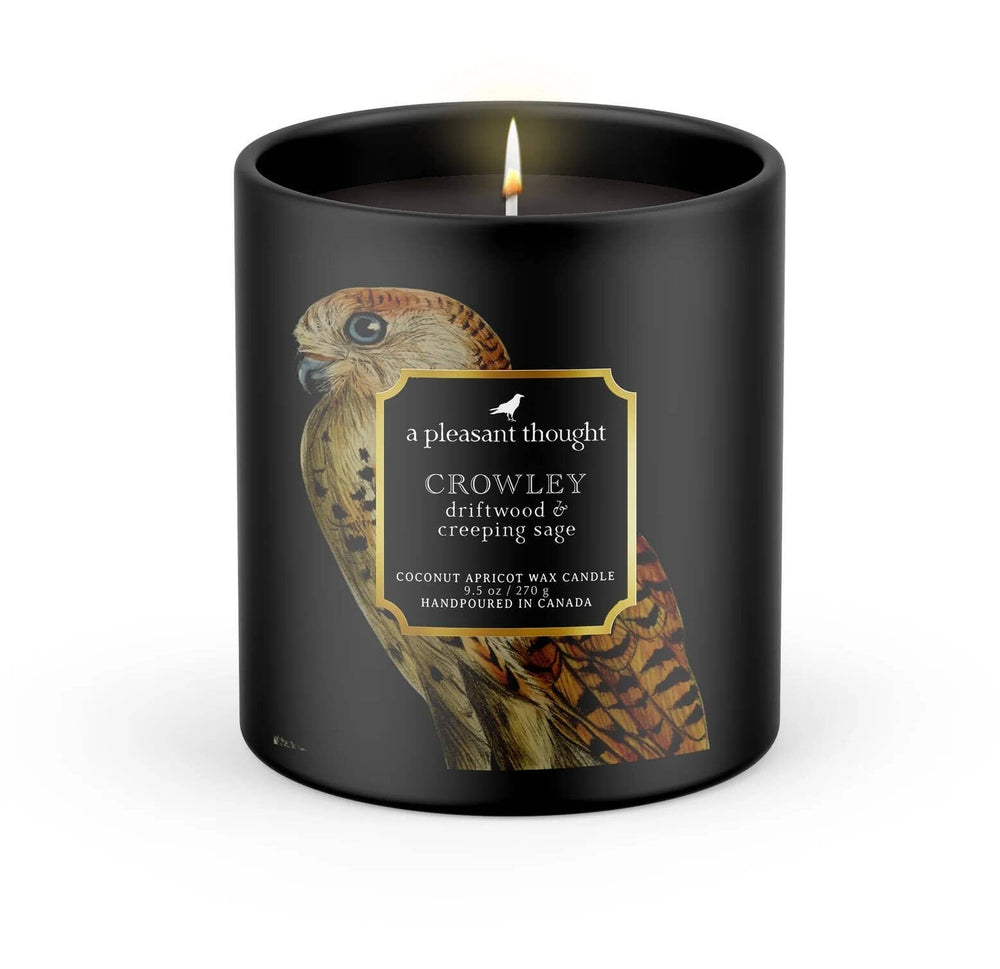 CROWLEY | DRIFTWOOD & CREEPING SAGE | RAVEN CANDLE: Cotton 