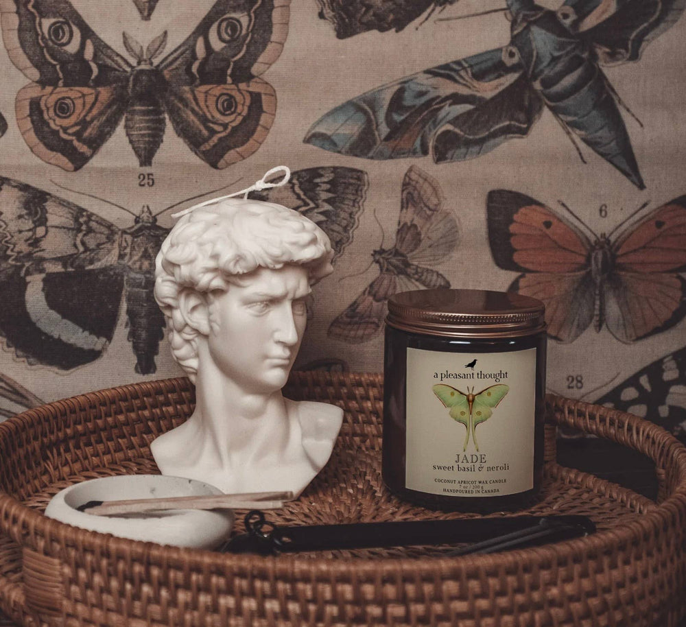 JADE | SWEET BASIL & NEROLI | JAR CANDLE: Cotton 