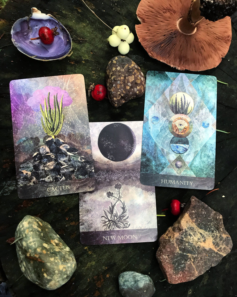 The Faceted Garden Oracle Card Deck 