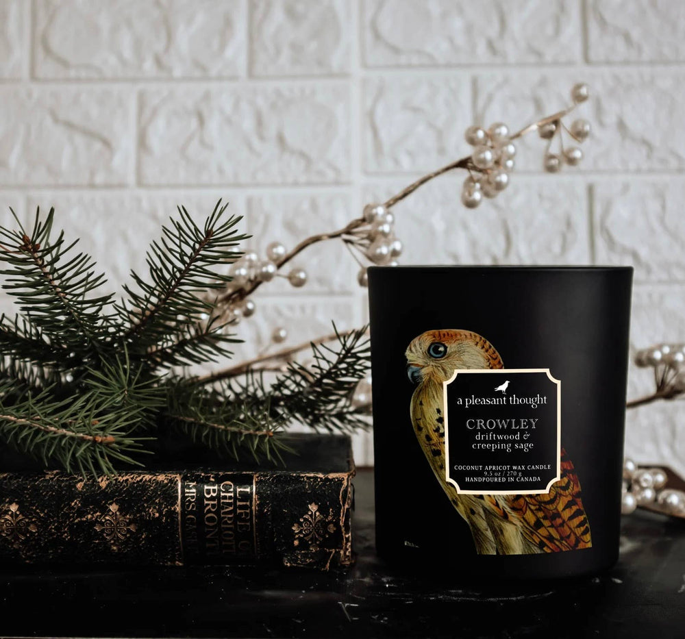 CROWLEY | DRIFTWOOD & CREEPING SAGE | RAVEN CANDLE: Cotton 