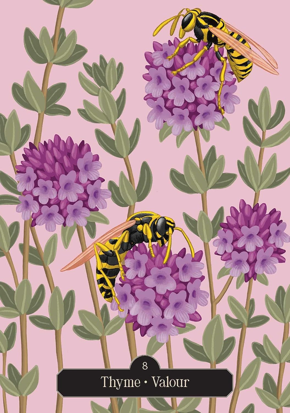 Oracle card featuring flowering thyme with yellow wasps symbolizing courage, determination, and inner strength.