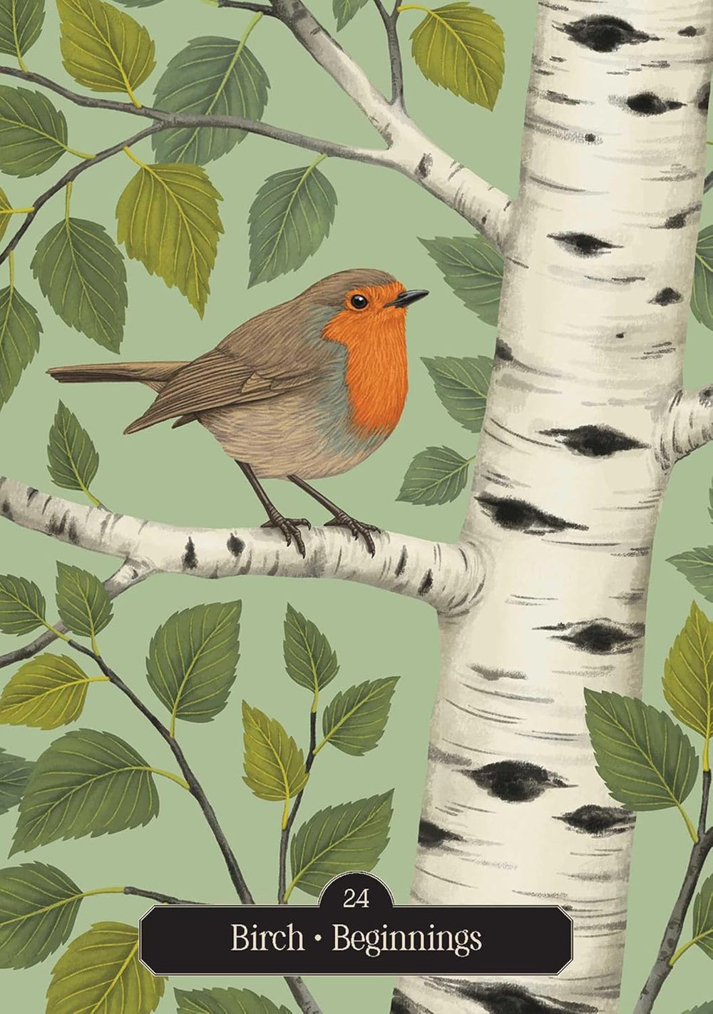 Oracle card featuring a robin perched among birch branches symbolizing fresh starts and new beginnings.