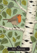 Oracle card featuring a robin perched among birch branches symbolizing fresh starts and new beginnings.