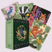 Hedgewitch Oracle boxed set displayed beside illustrated cards featuring woodland animals, birds, foxglove flowers, and botanical symbolism.