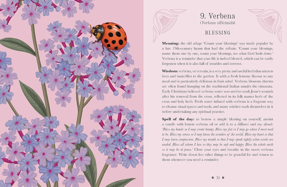 Guidebook spread featuring pink verbena flowers and a ladybug beside text exploring blessings, gratitude, and spiritual cleansing.