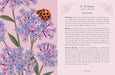 Guidebook spread featuring pink verbena flowers and a ladybug beside text exploring blessings, gratitude, and spiritual cleansing.