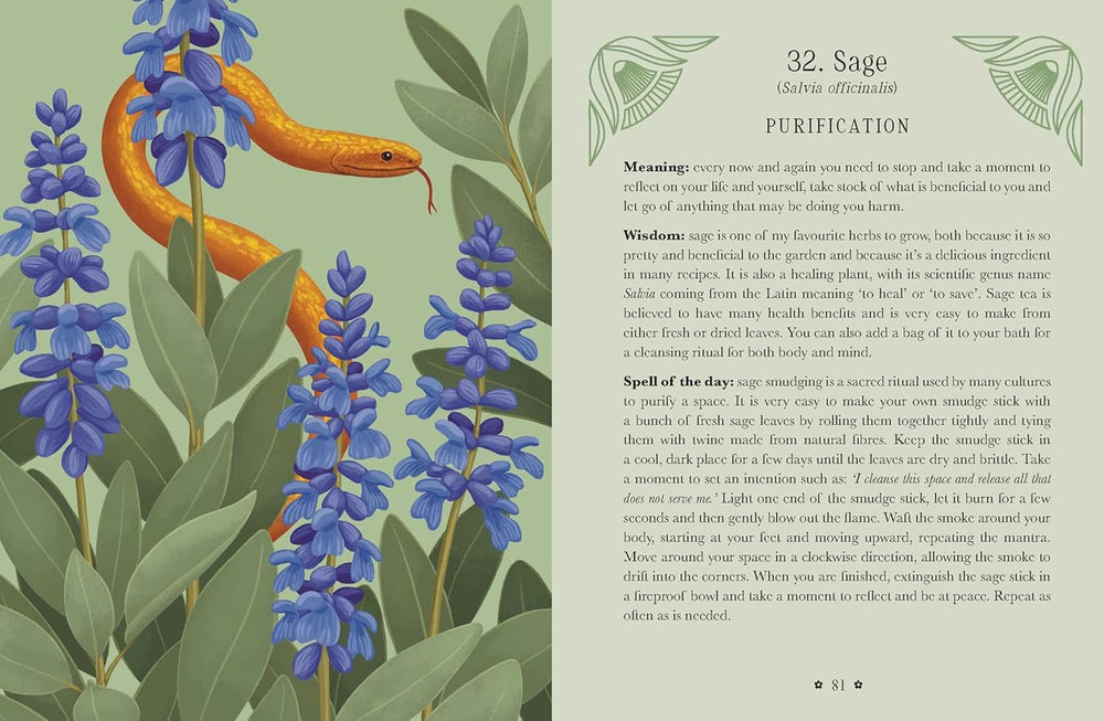 Guidebook spread featuring blue sage flowers and a golden snake beside text about purification rituals and energetic cleansing.