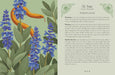 Guidebook spread featuring blue sage flowers and a golden snake beside text about purification rituals and energetic cleansing.