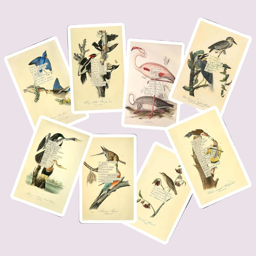An Almanac of Birds: 100 Divinations for Uncertain Days