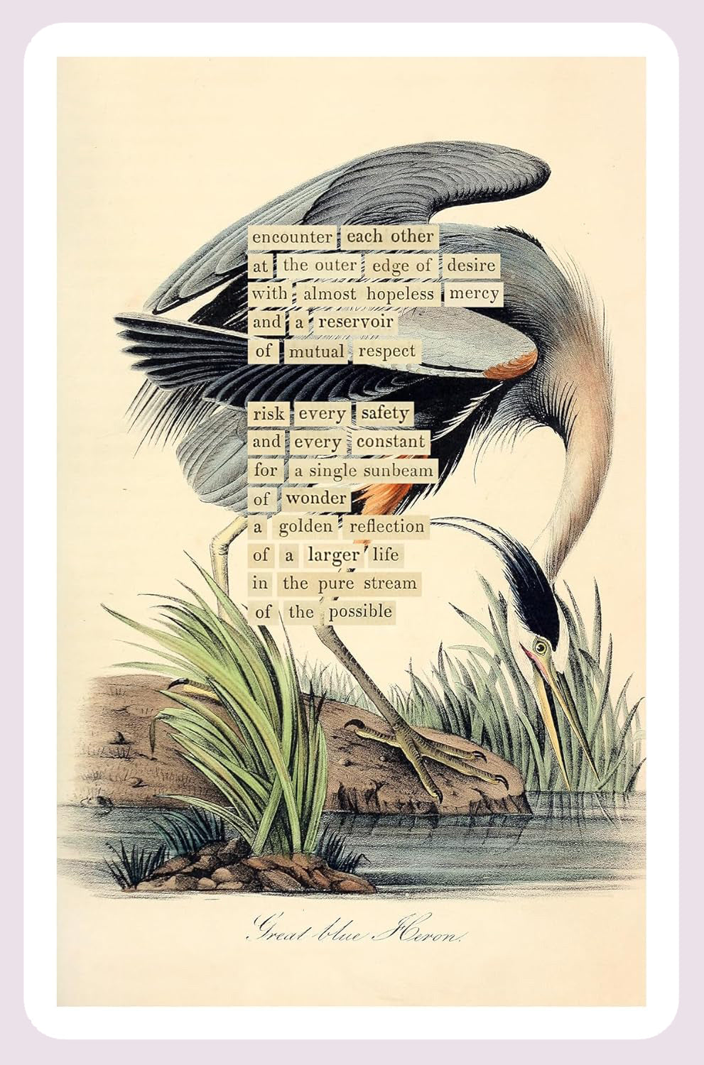 An Almanac of Birds: 100 Divinations for Uncertain Days