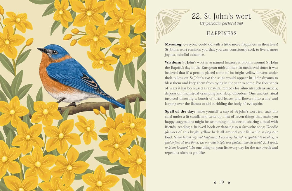 Guidebook spread featuring a bluebird surrounded by golden St. John’s wort flowers beside text about happiness and joyful living.