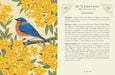 Guidebook spread featuring a bluebird surrounded by golden St. John’s wort flowers beside text about happiness and joyful living.