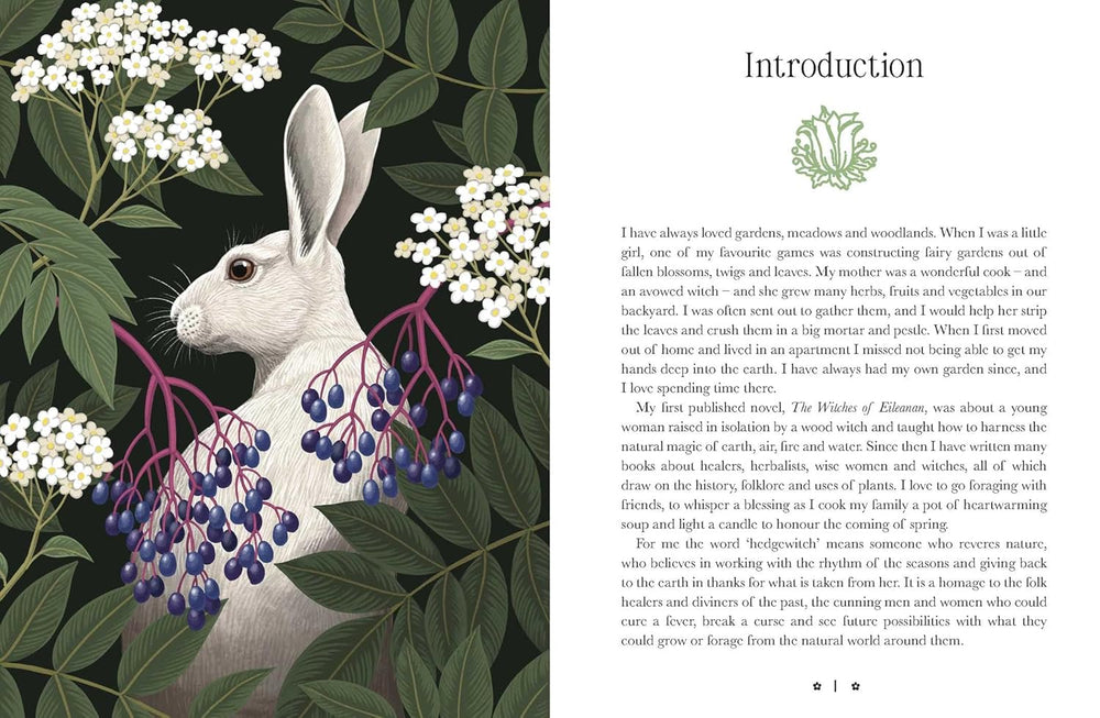 Illustrated guidebook spread from the Hedgewitch Oracle featuring a white rabbit among elderberries and botanical foliage beside the author’s introduction text.
