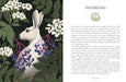 Illustrated guidebook spread from the Hedgewitch Oracle featuring a white rabbit among elderberries and botanical foliage beside the author’s introduction text.