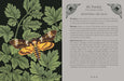 Guidebook spread featuring parsley leaves and a death’s-head moth beside text exploring remembrance, ritual, and ancestral honoring.