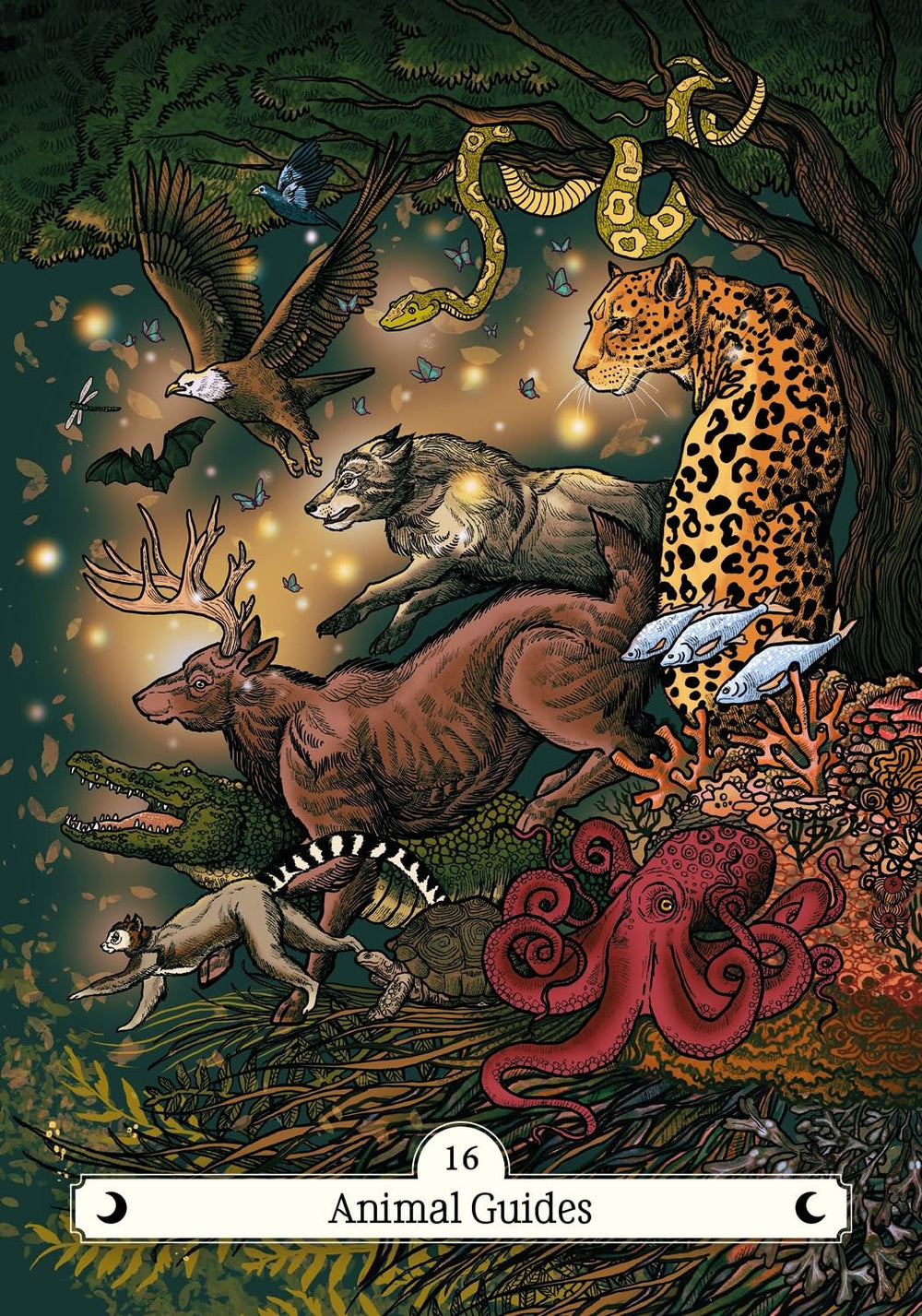 The Witch’s Way Home Oracle