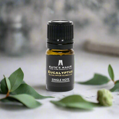 Essential Oil - Eucalyptus (5 ml) 