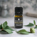 Essential Oil - Eucalyptus (5 ml) 