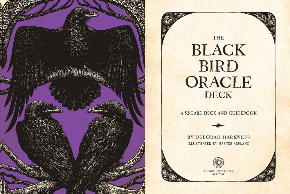 The Black Bird Oracle Deck