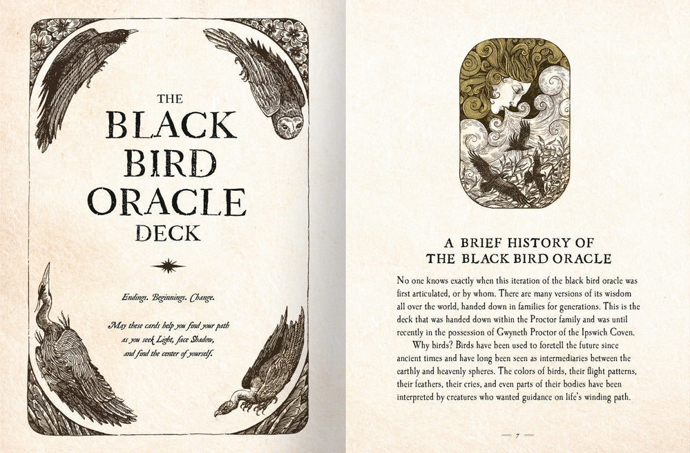 The Black Bird Oracle Deck