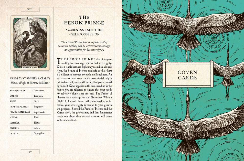 The Black Bird Oracle Deck