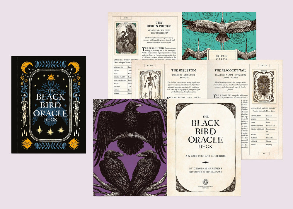 The Black Bird Oracle Deck