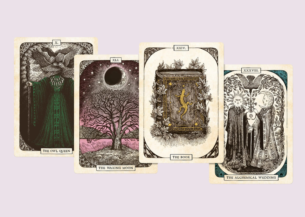 The Black Bird Oracle Deck