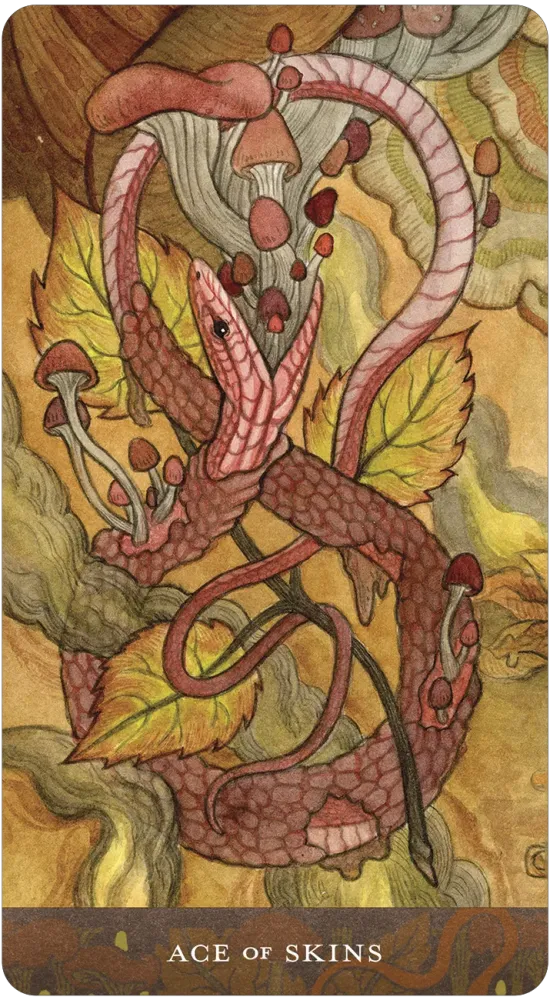 Ace of Skins card from the Blood Moon Tarot, illustrated with a serpent, leaves, and mushrooms in warm, earthy tones.
