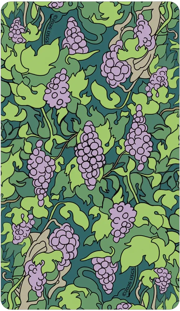 Florana Tarot
