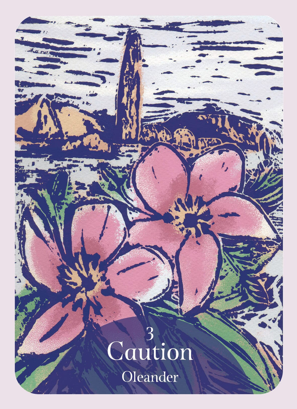 The Language of Flowers Oracle Oracle Deck