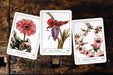 TERRA LENORMAND 2ND EDITION - 2024 New Deck Launch 