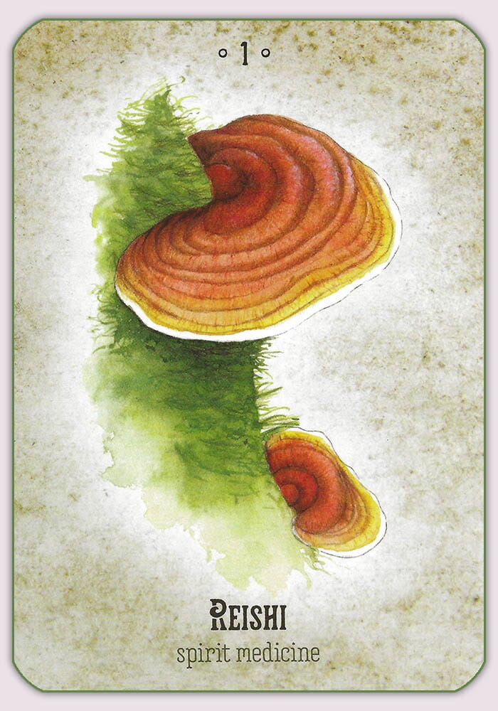 Mushroom Spirit Oracle and Guidebook Oracle Deck