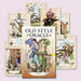 Old Style Oracle deck shown with the box centered and several illustrated cards fanned behind it, featuring vintage engraving-style artwork from the deck.