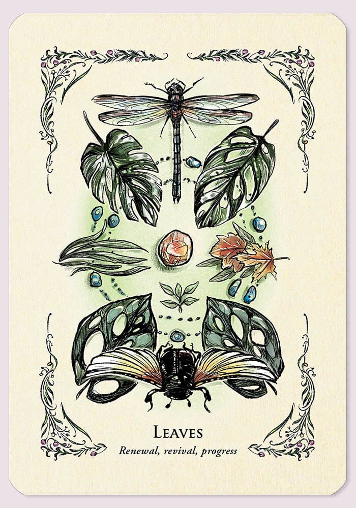 The Green Witch's Oracle Deck Oracle Deck