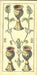 Tarocco Napoleonico Milano 1809 Tarot Deck