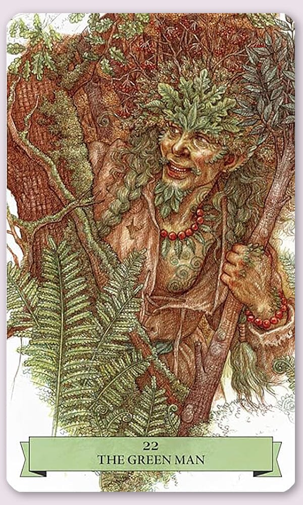 The Sherwood Oracle, Hidden Lore of the Wild Forest Oracle Deck