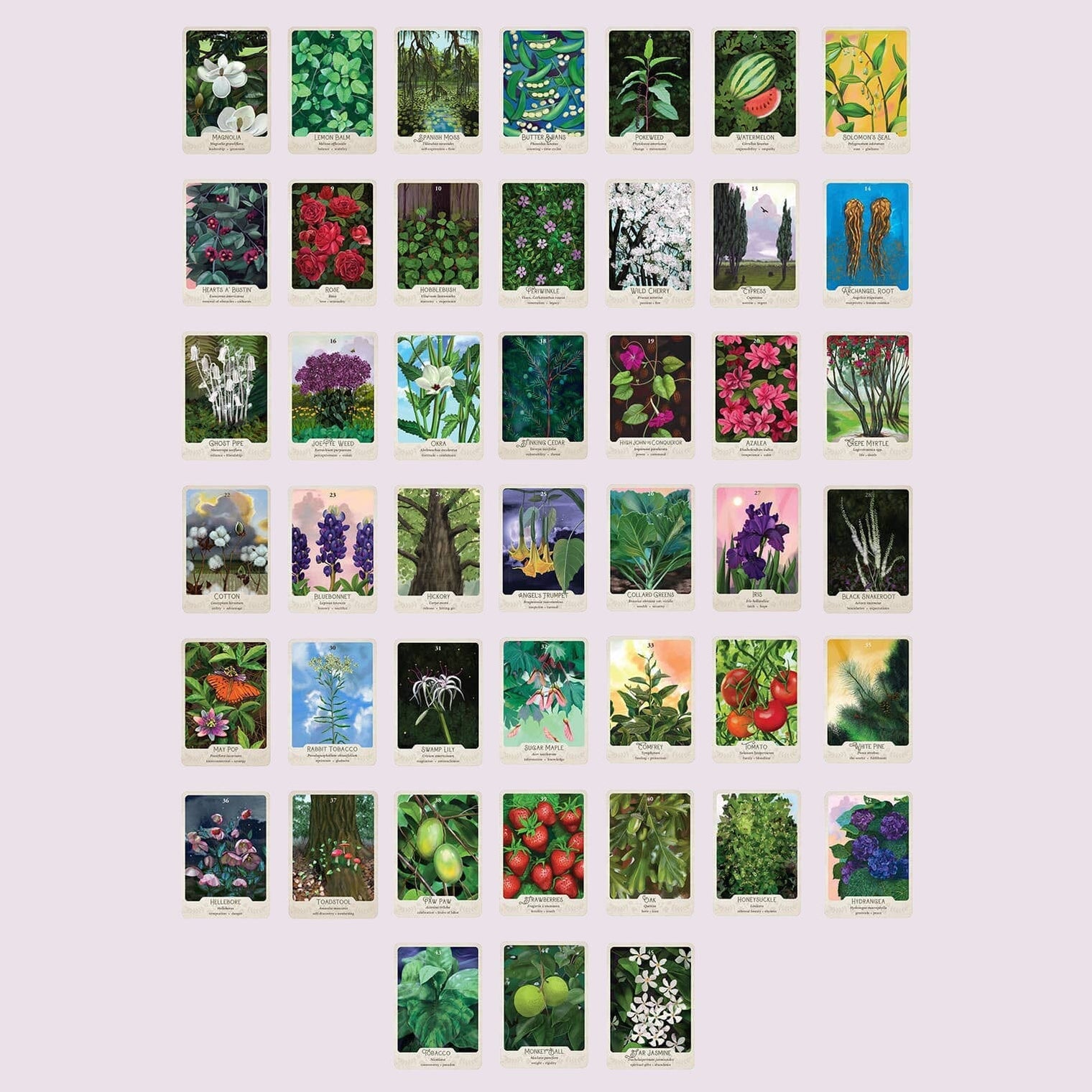 The Southern Botanic Oracle — TarotArts