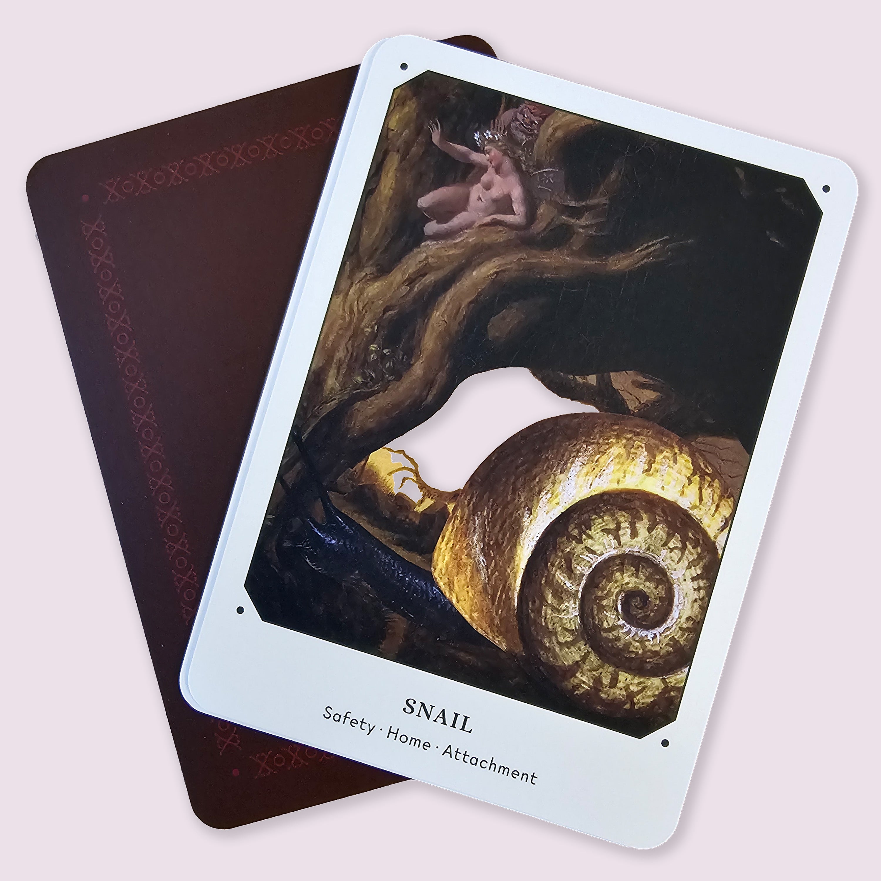 The Mushroom Oracle — TarotArts