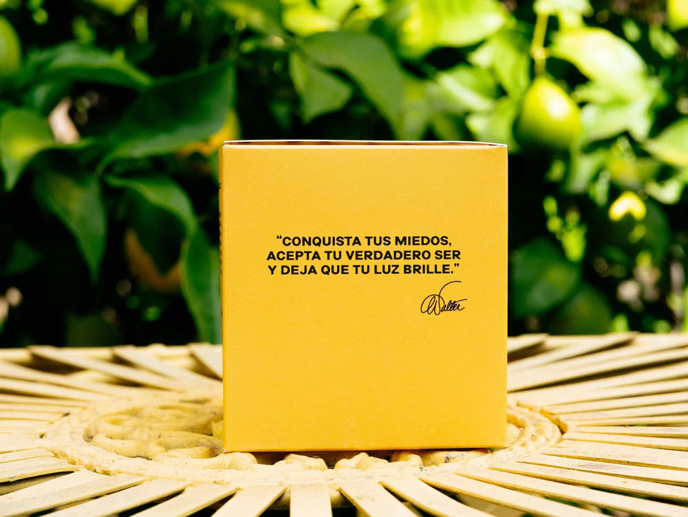 Walter Mercado - Sol Candle