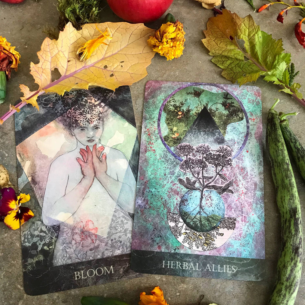 The Faceted Garden Oracle Card Deck 