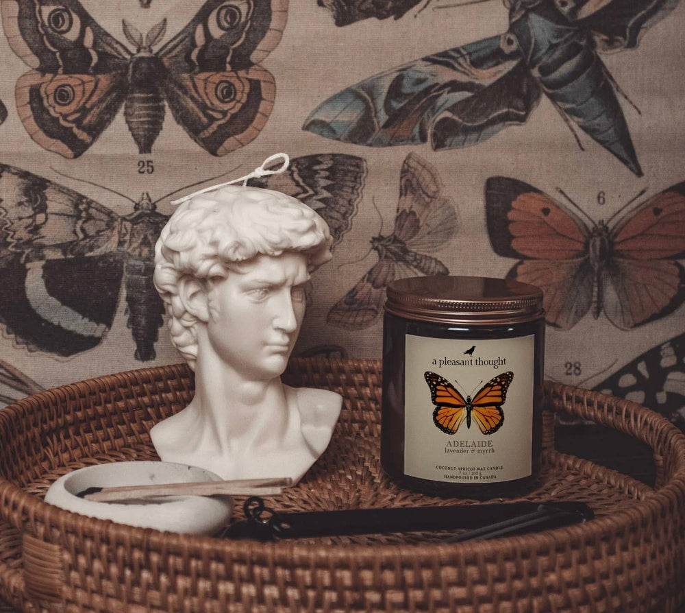 ADELAIDE | LAVENDER & MYRRH | JAR CANDLE: Cotton 