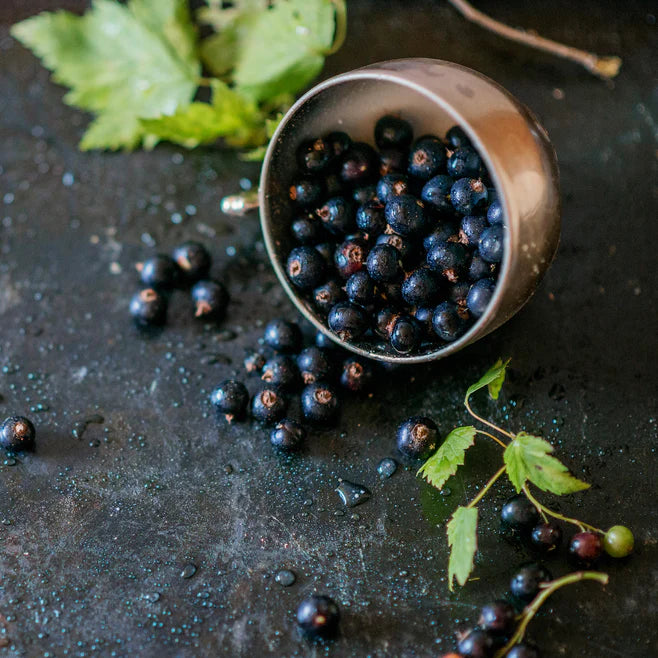 Black Currants