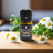 Essential Oil - Roman Chamomile (5ml) 