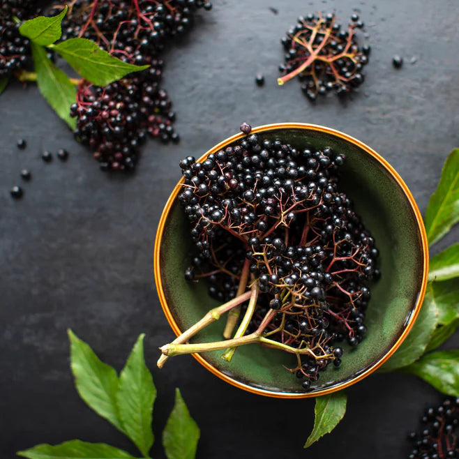 Elderberry