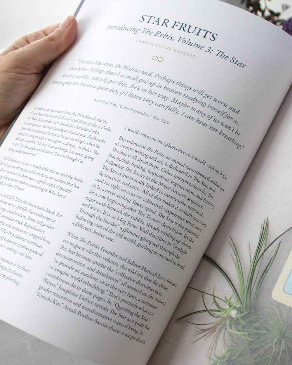The Rebis Vol. II: The Star — Print Edition