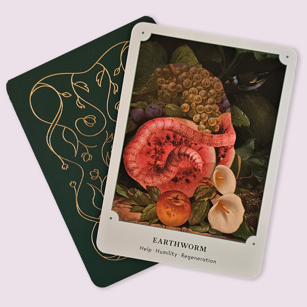 The Garden Oracle: 44 Card Deck & Guidebook