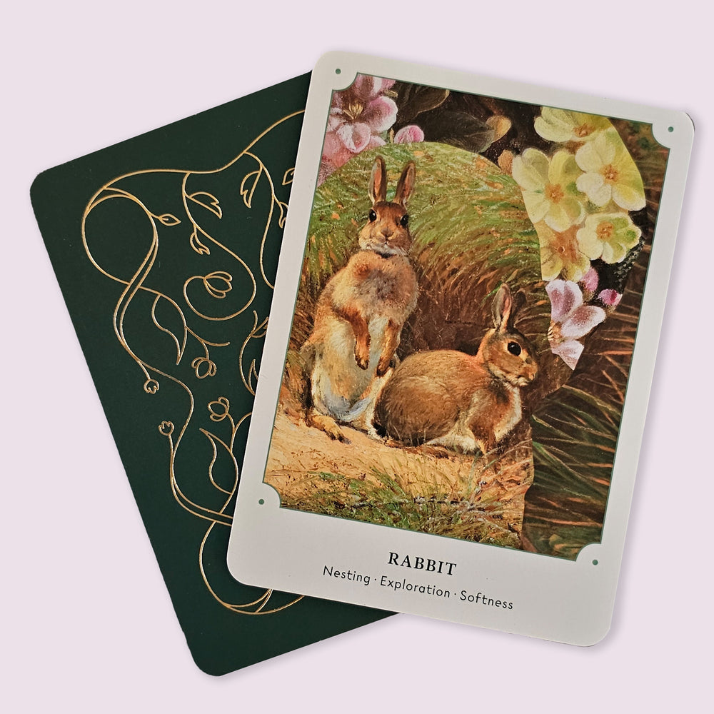 The Garden Oracle: 44 Card Deck & Guidebook