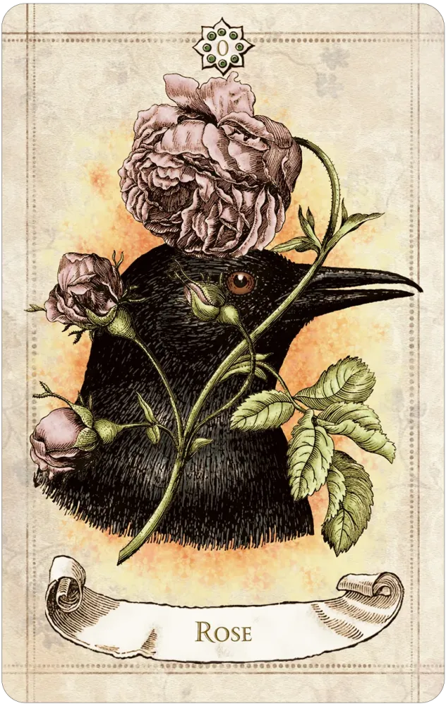 Vintage-style oracle card titled “Rose” depicting a black bird in profile crowned with blooming roses, with rose stems and leaves crossing the image.