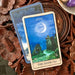 Mindscapes Tarot Deluxe Package: 25-card Major Arcana deck, protective black velvet pouch and companion guidebook. Tarot Kit
